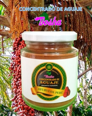 Concentrado de aguaje