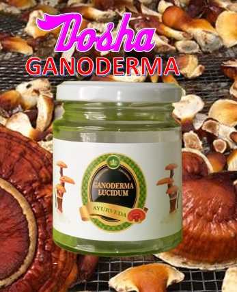 Ganoderma