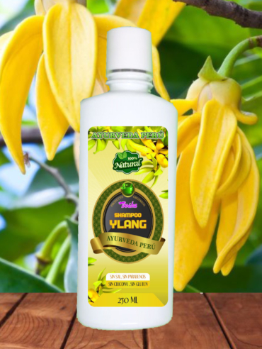 Shampoo-de-ylang-ylang