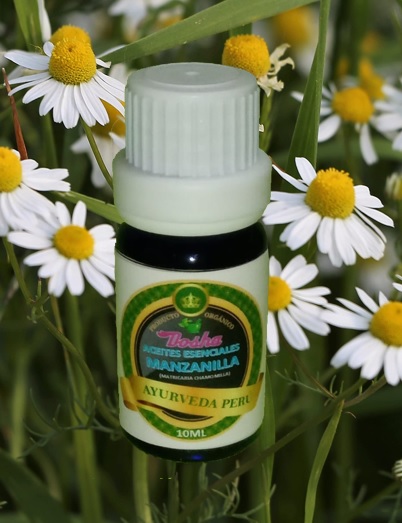 Aceite esencial de manzanilla
