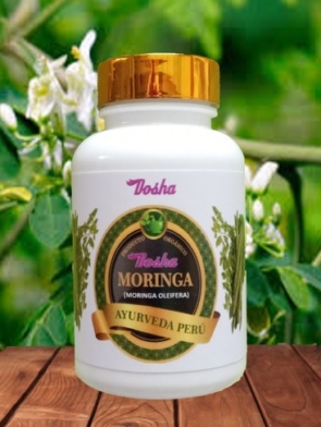 moringa-capsulas