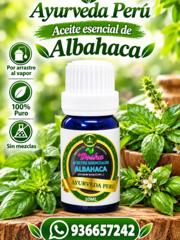 aceite esencial de albahaca