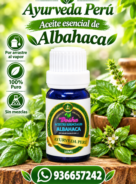 aceite esencial de albahaca