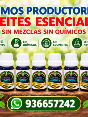 aceites esenciales por mayor