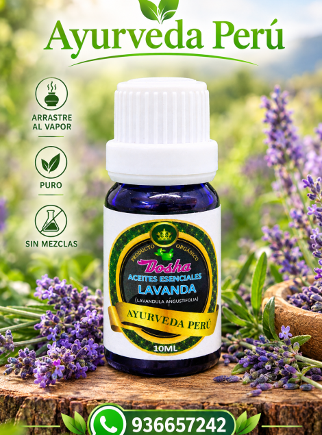lavanda