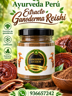 ganoderma