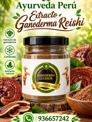 ganoderma